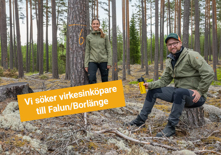 Väx med oss – vi söker virkesinköpare till Falun/Borlängeområdet