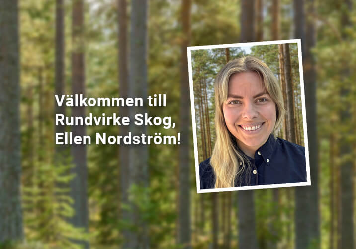 Ellen Nordström – virkesutsynare med detaljerna i fokus