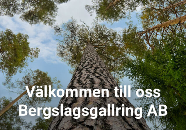 Varmt välkomna till oss, Bergslagsgallring AB