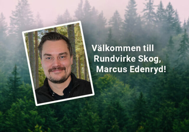 Varmt välkommen, Marcus – virkesinköpare i Jämtland