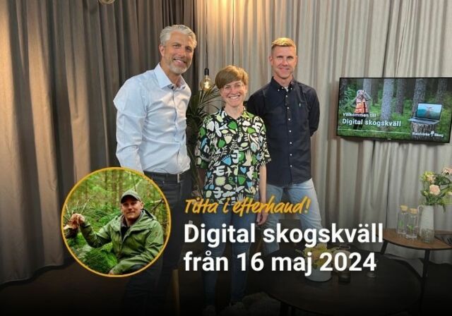 Missade du vår Digitala skogskväll 16 maj 2024?