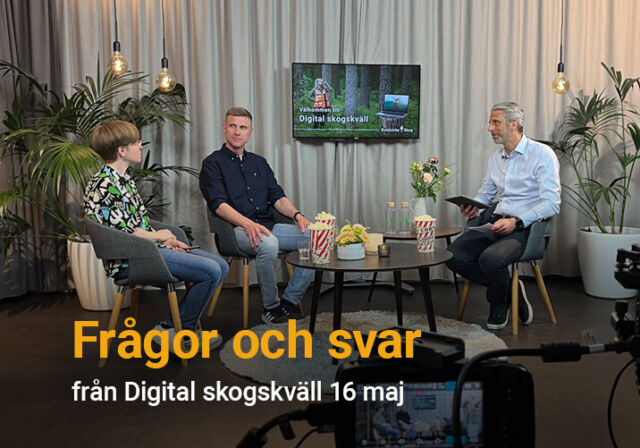 Frågor och svar från Digital skogskväll 16 maj 2024