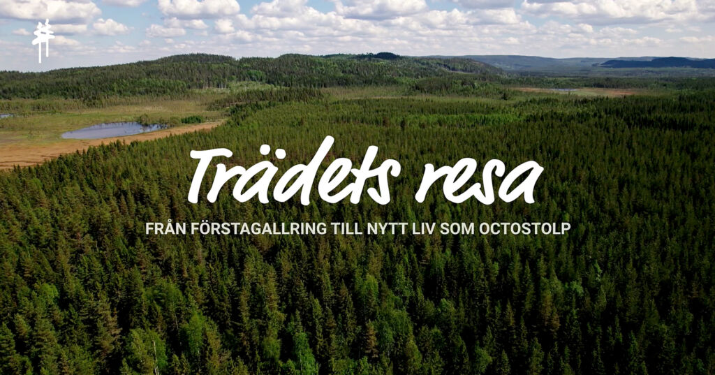 Trädets resa - från förstagallring till nytt liv som Octostolp