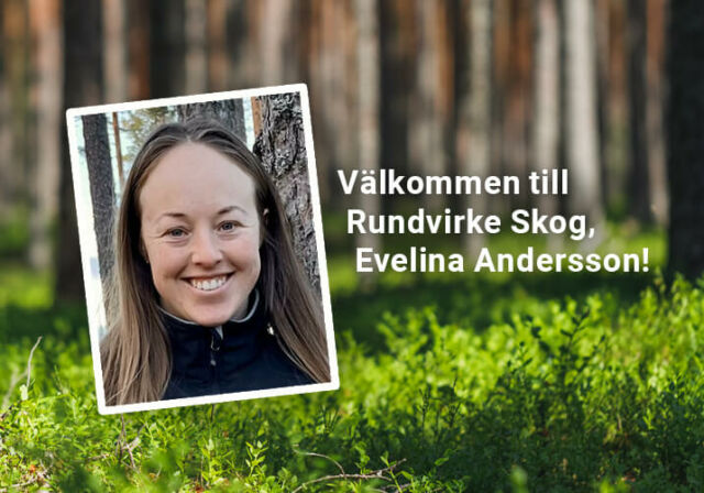 Evelina – en go’ och gla’ dalkulla som bygger broar mellan skogsägare och framtiden