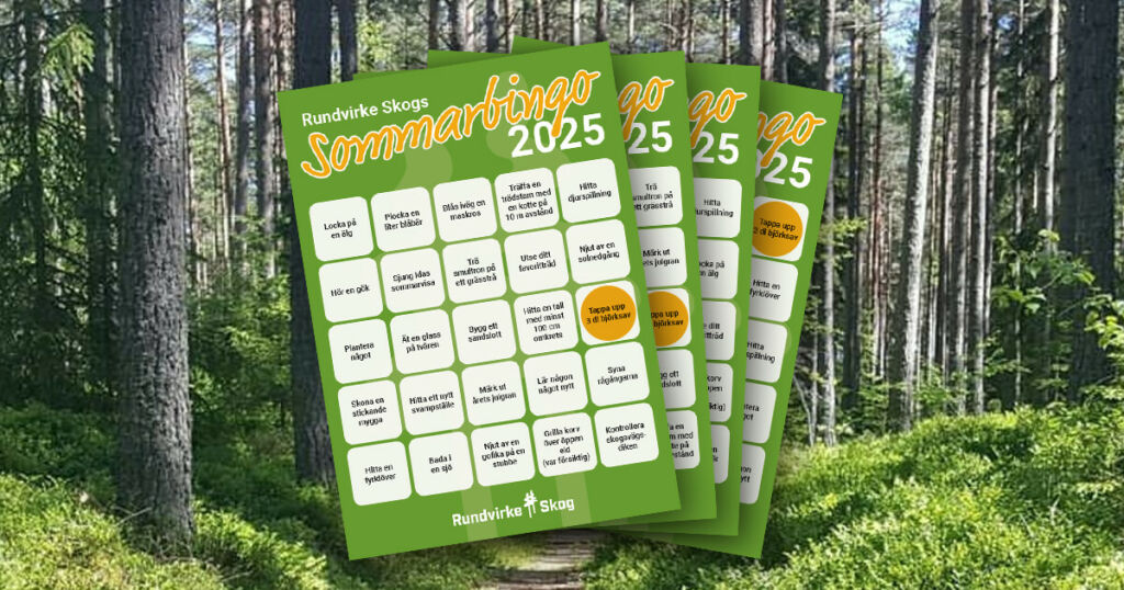 Delta i Rundvirke Skogs SOMMARBINGO 2025