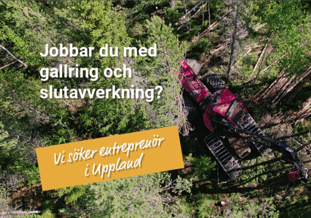 Vi söker entreprenör för gallring och slutavverkning i Uppland