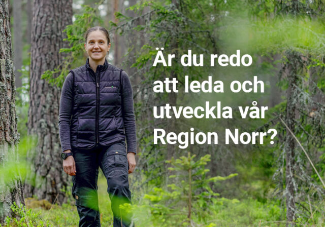 Rundvirke Skog söker regionchef till Region Norr