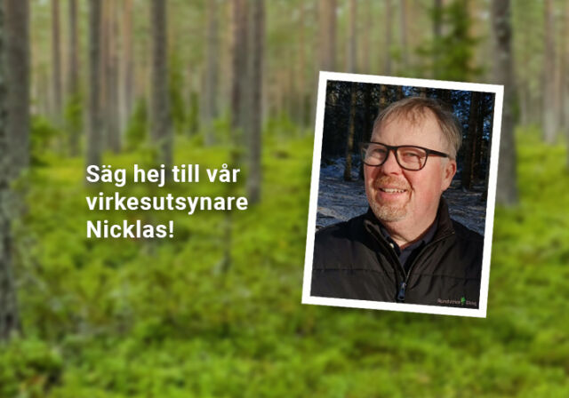 Med en blick för raka tallar – möt vår virkesutsynare Nicklas Oskarsson